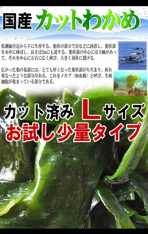 【3人シェア買いでお得】若布 カットわかめ 40g×2袋 国産 乾燥 お試しセット 送料無料