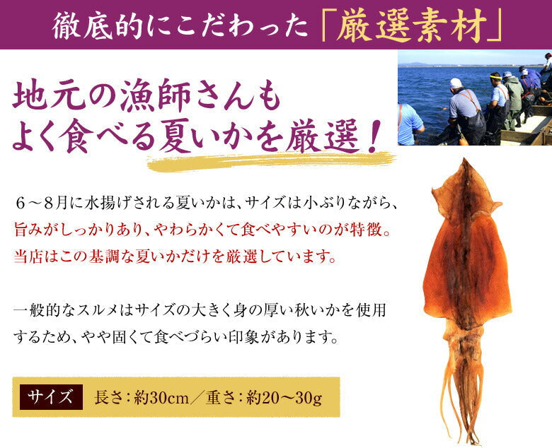 【タイムセール】北海道産 無添加スルメ 4枚入
