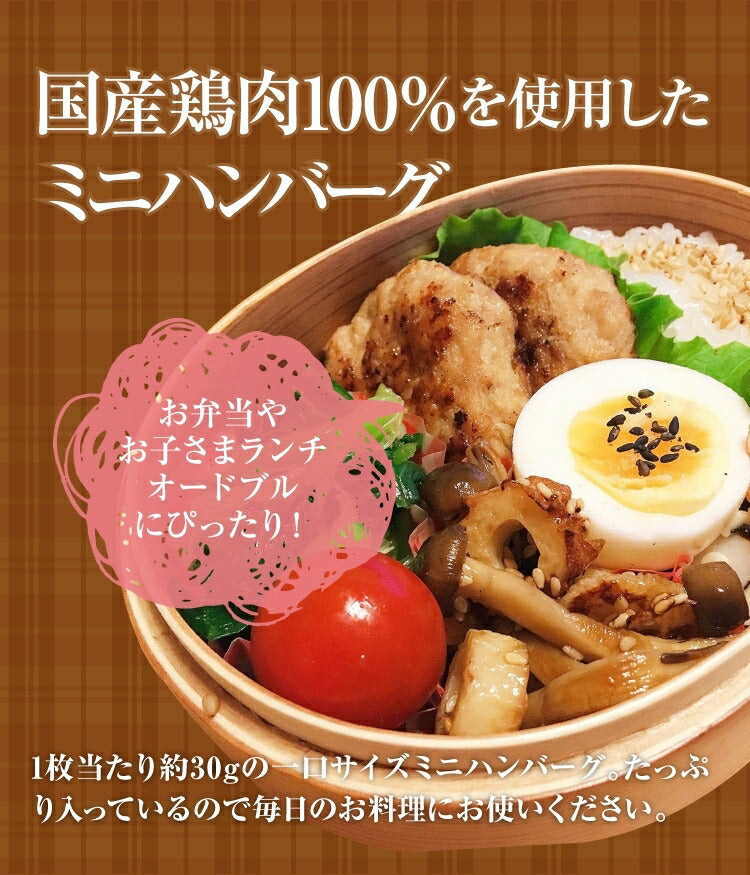 国産 ミニハンバーグ 1kg 33-34個