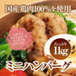 国産 ミニハンバーグ 1kg 33-34個