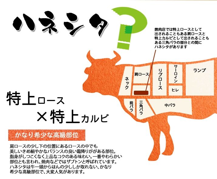ハネシタローストビーフ約500g