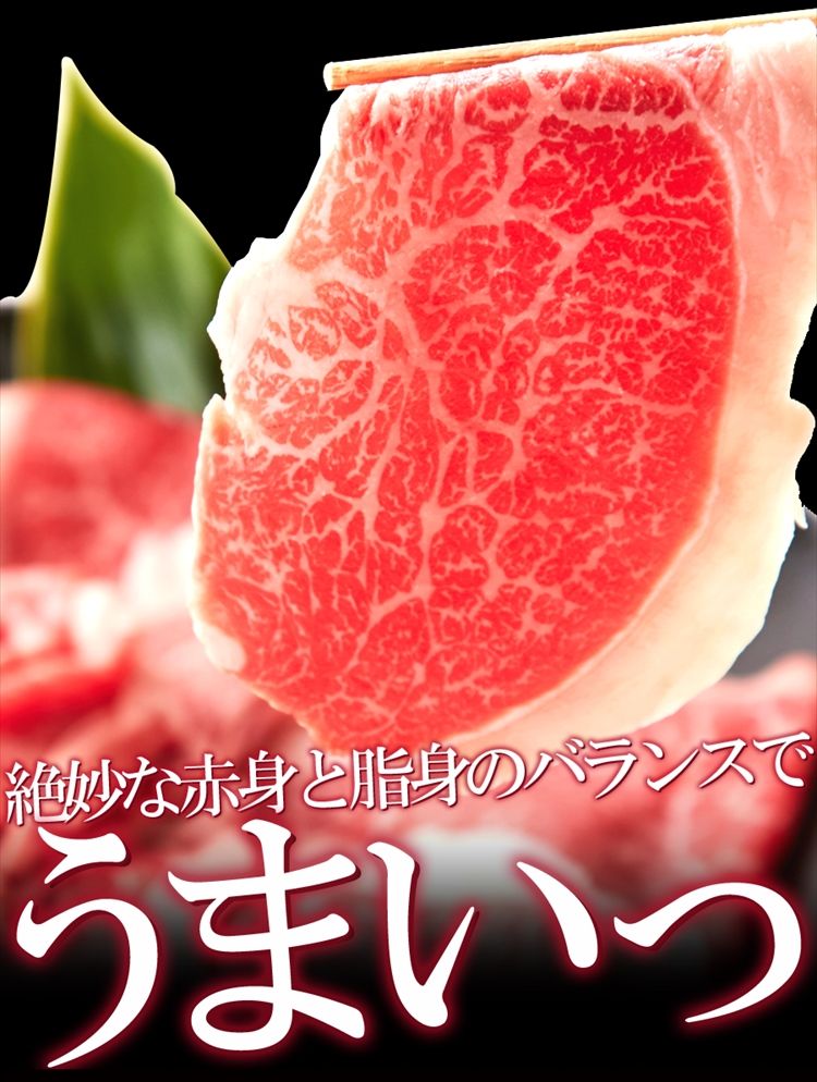 絶品霜降ブランド牛九州産黒毛和牛A4・A5等級【無選別】切り落とし500g