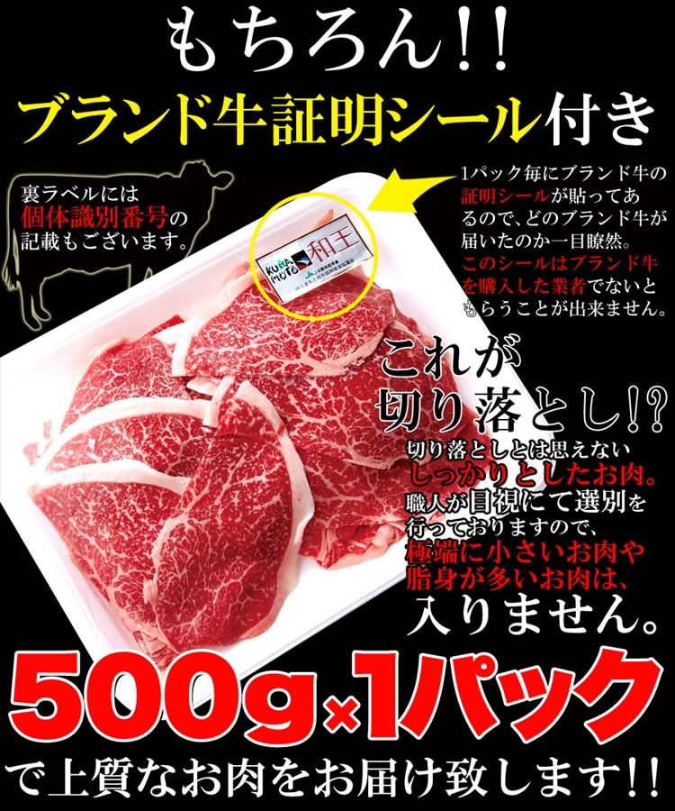 絶品霜降ブランド牛九州産黒毛和牛A4・A5等級【無選別】切り落とし500g