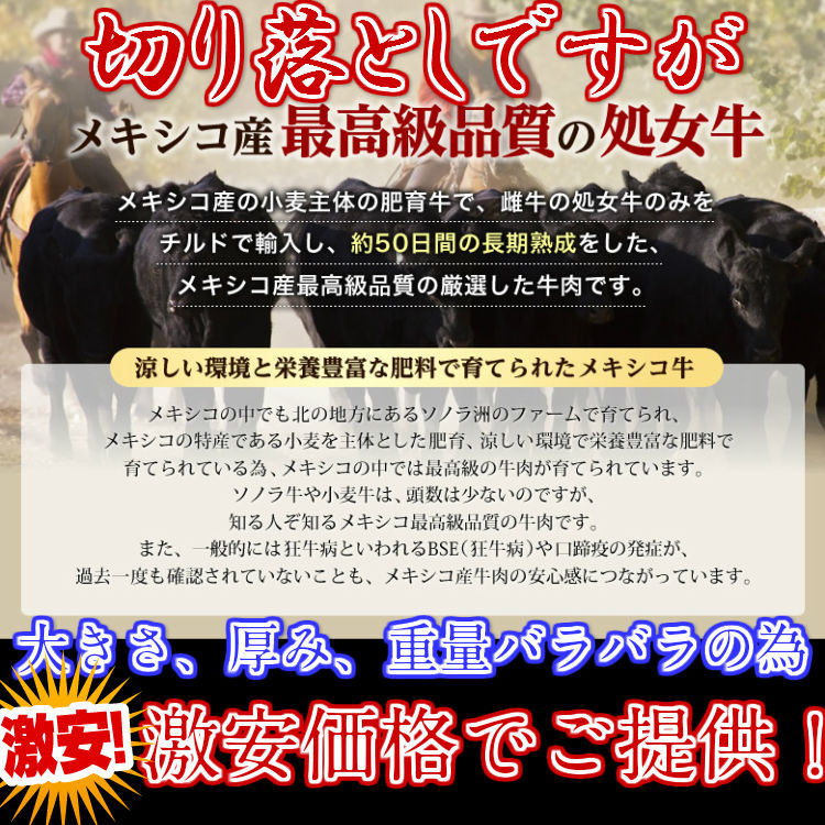 熟成牛 サーロイン ブロック 切り落とし500g