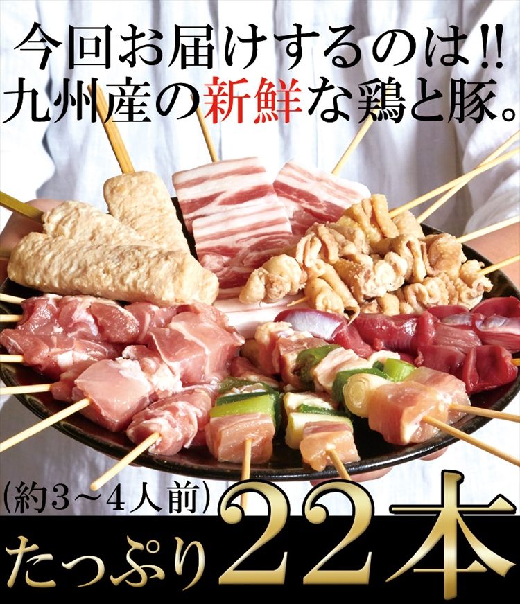 手刺しにこだわった本格派!!九州産焼き鳥セット22本入り