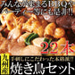手刺しにこだわった本格派!!九州産焼き鳥セット22本入り