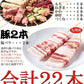 手刺しにこだわった本格派!!九州産焼き鳥セット22本入り