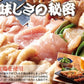 手刺しにこだわった本格派!!九州産焼き鳥セット22本入り