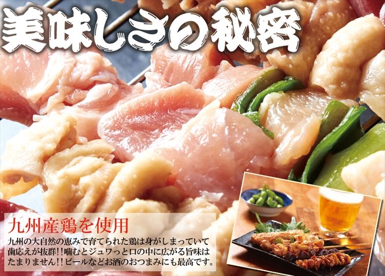 手刺しにこだわった本格派!!九州産焼き鳥セット22本入り