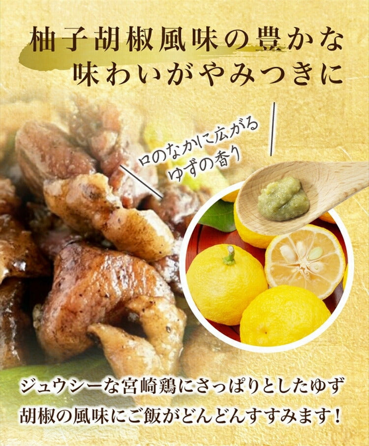 ゆず胡椒味 100g×10個 鶏 鶏の炭火焼き