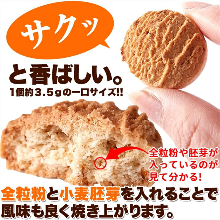 全粒粉 ＆ 胚芽 クッキー 800g【業務用】