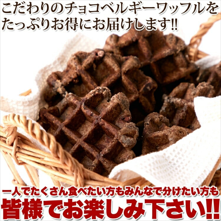 【訳あり】チョコ ベルギーワッフル 1k チョコチップ入り 個包装  常温便【エコ得】