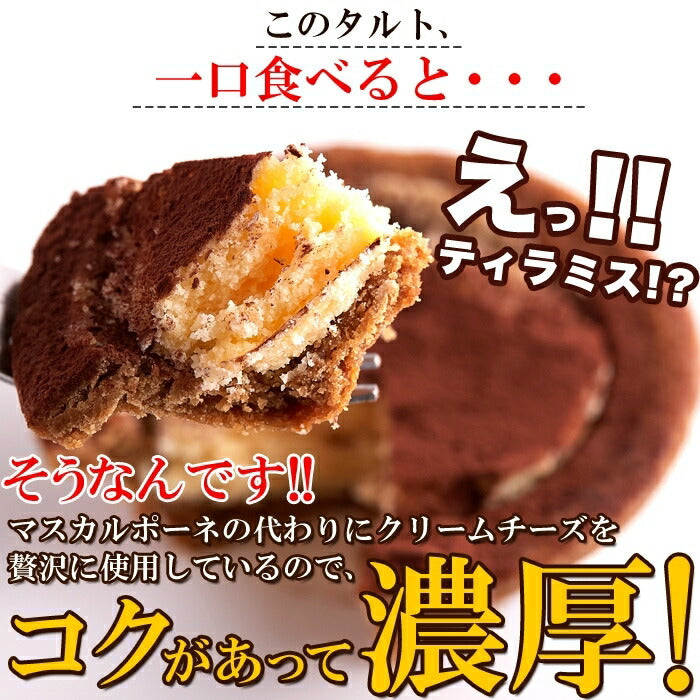 【訳あり】クリームチーズ ティラミス タルト 1kg