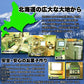 【3人シェア買いでお得】北海道十勝産小豆を100%使用!!やわらか!あんころもち24個(12個入×2袋)/ネコポス
