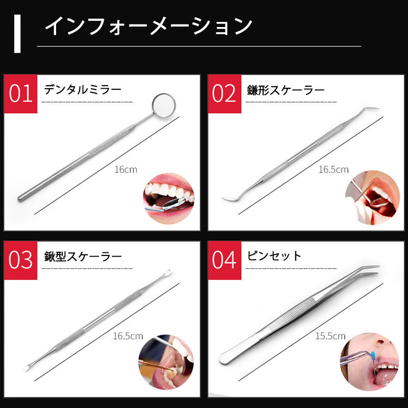 歯石取り 5本セット ケース付き スケーラー 歯垢 食べかす 除去 用具 デンタル オーラル ケア 口腔 衛生 ツール 自宅 歯の点検 器具ヤニとり ステンレス製