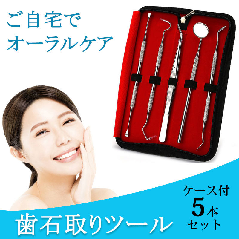 歯石取り 5本セット ケース付き スケーラー 歯垢 食べかす 除去 用具 デンタル オーラル ケア 口腔 衛生 ツール 自宅 歯の点検 器具ヤニとり ステンレス製