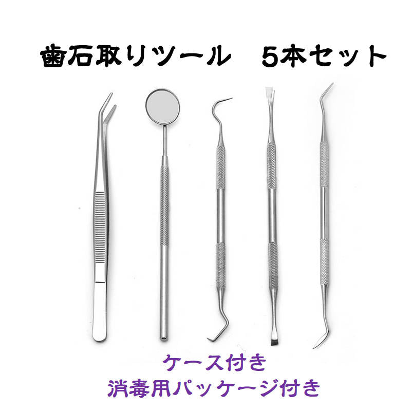 歯石取り 5本セット ケース付き スケーラー 歯垢 食べかす 除去 用具 デンタル オーラル ケア 口腔 衛生 ツール 自宅 歯の点検 器具ヤニとり ステンレス製