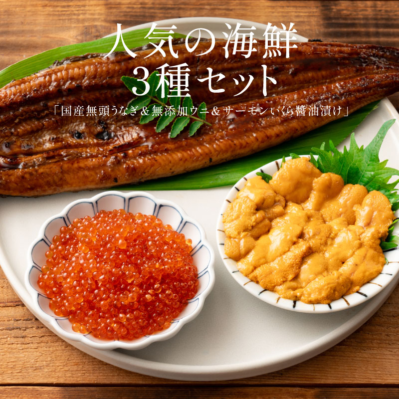 うなぎ ウニ イクラ セット ウナギ142g前後×1尾 ウニ 100g イクラ醤油漬け 200g 無添加 蒲焼き 国産うなぎ うなぎの蒲焼 冷凍うなぎ 冷凍 うなぎ蒲焼 うに いくら セット 無添加ウニ 200g イクラ醤油漬け 200g