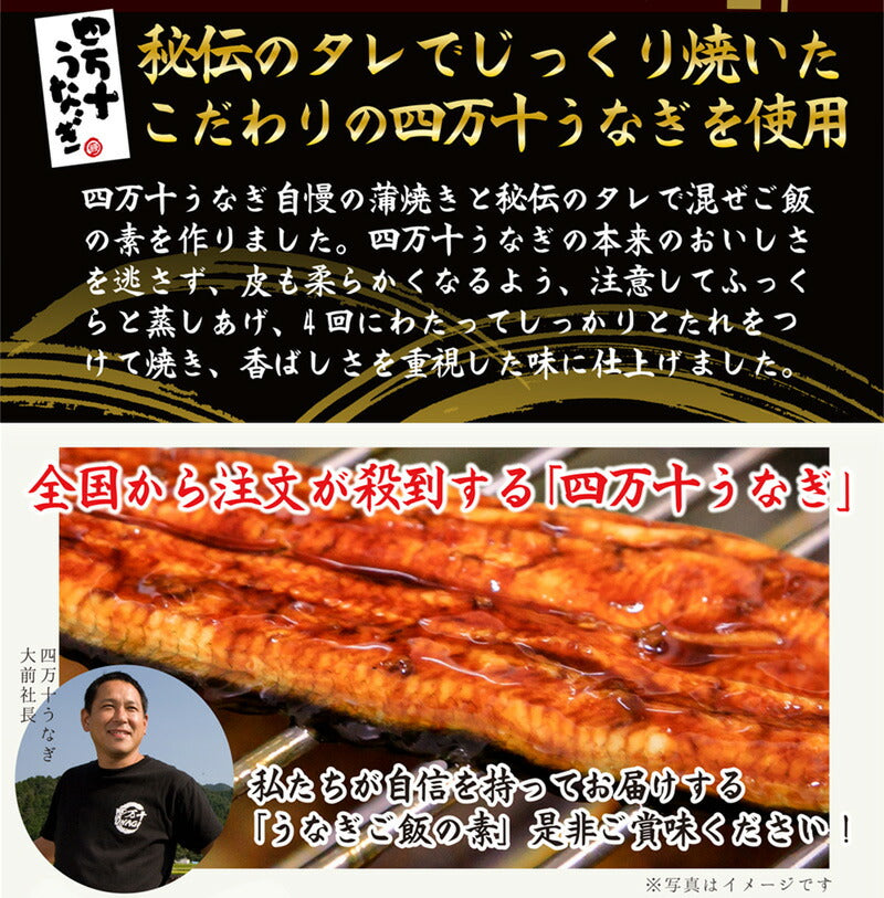 【送料無料】 四万十うなぎ 混ぜるだけ簡単！うなぎご飯の素 160g×1袋