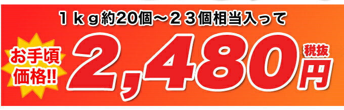 【訳あり お菓子】ベルギーワッフルどっさり1kg