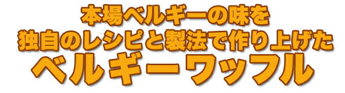 【訳あり お菓子】ベルギーワッフルどっさり1kg