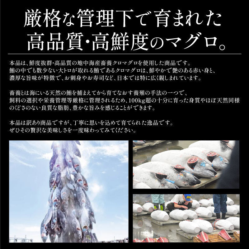 訳あり マグロ 本マグロ クロマグロ 2kg 大トロ 中トロ トロ 業務用 ブロック 詰め合わせ 冷凍 刺身 訳アリ わけあり ワケアリ まぐろ マグロ 鮪 本鮪 本まぐろ まぐろ丼 まぐろ漬け 海鮮丼 ギフト プレゼント