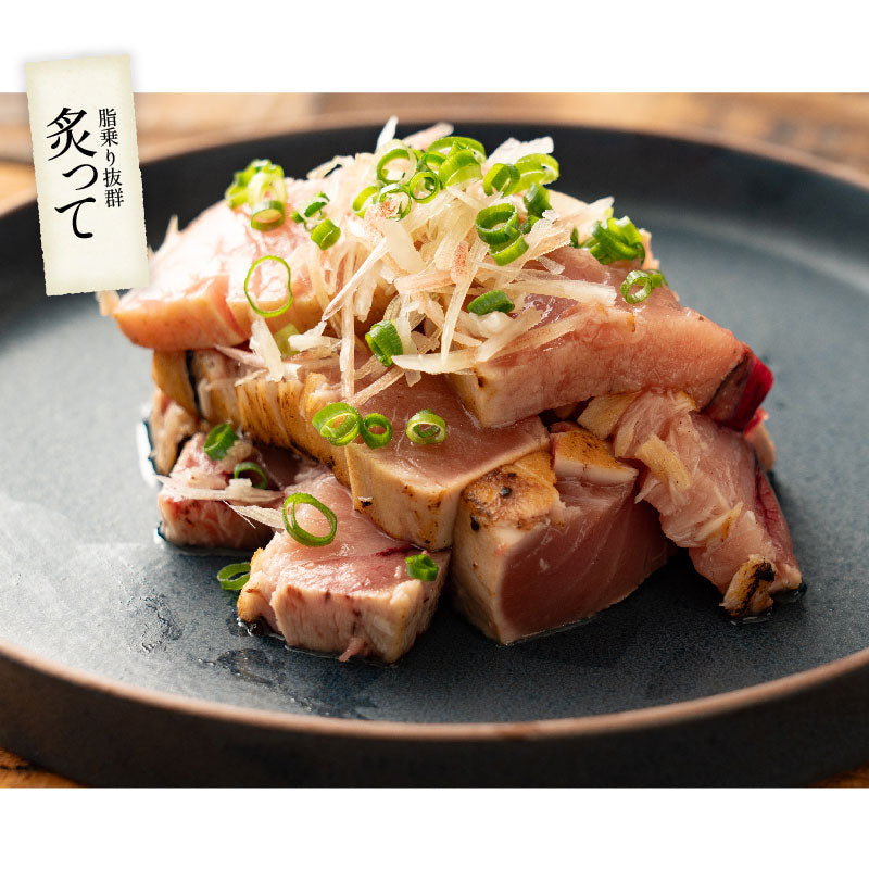 訳あり マグロ 本マグロ クロマグロ 2kg 大トロ 中トロ トロ 業務用 ブロック 詰め合わせ 冷凍 刺身 訳アリ わけあり ワケアリ まぐろ マグロ 鮪 本鮪 本まぐろ まぐろ丼 まぐろ漬け 海鮮丼 ギフト プレゼント