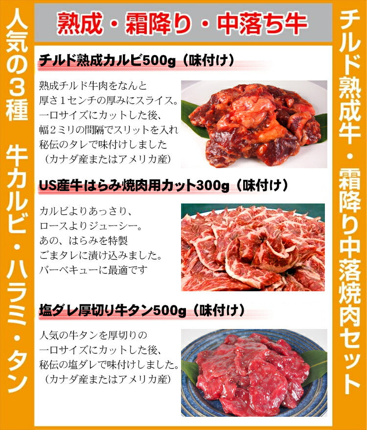 チルド熟成牛・霜降り中落焼肉セット1300g