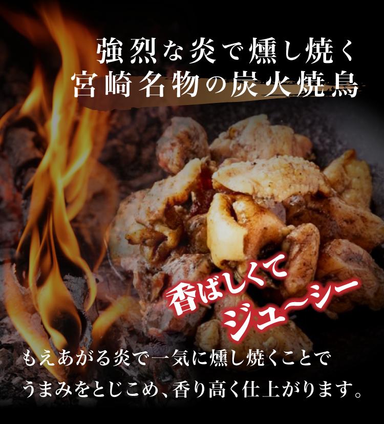100g×5袋 宮崎 名物 焼き鳥 鶏の炭火焼き