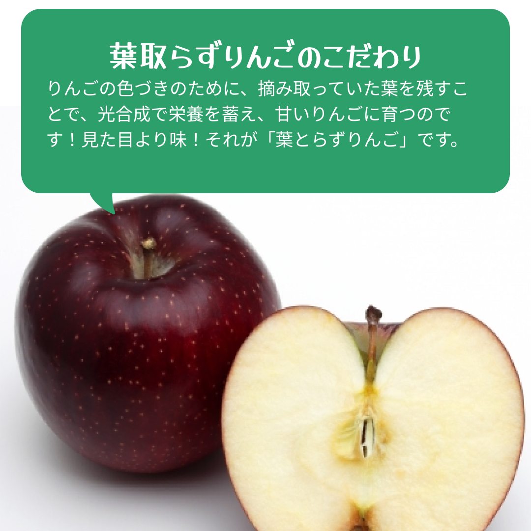 【2023年産予約開始！】秋映 加工用 約2.5kg(7-16玉) 9月下旬頃発送開始予定 #YAA0K025