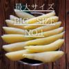 1kg 1本物 天然 塩数の子 アラスカ産 特大サイズ