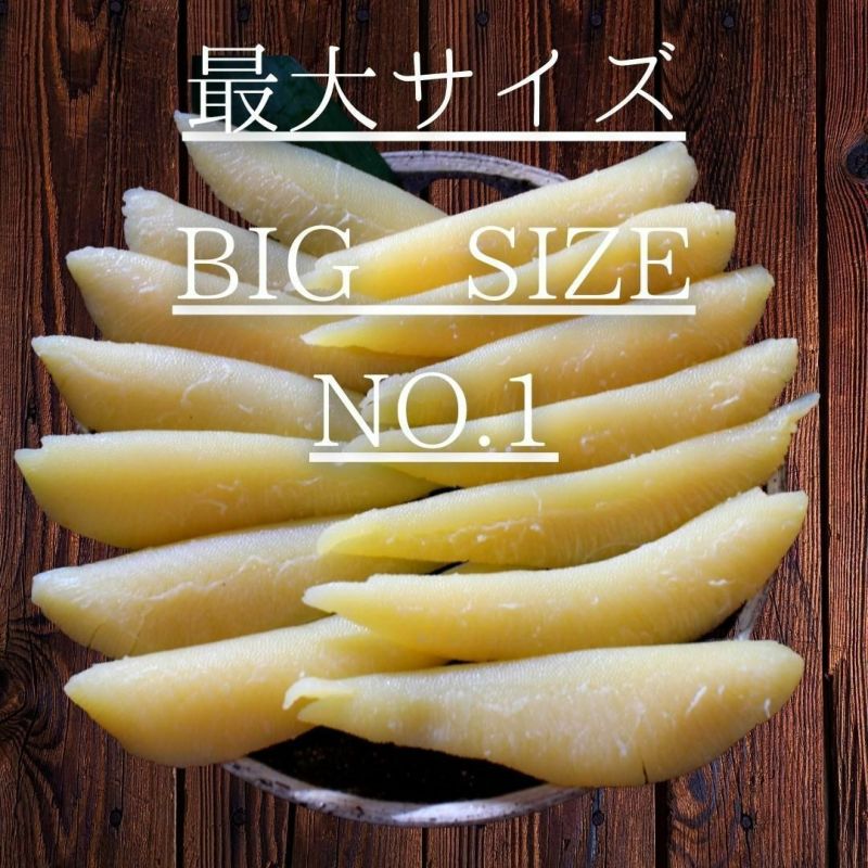 500g 1本物 天然 塩数の子 アラスカ産 特大サイズ