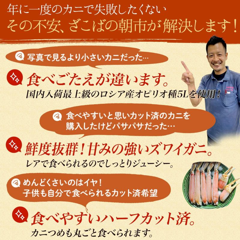 2.4g（6～9人前）極上【特大】生ズワイガニ 5Lサイズ