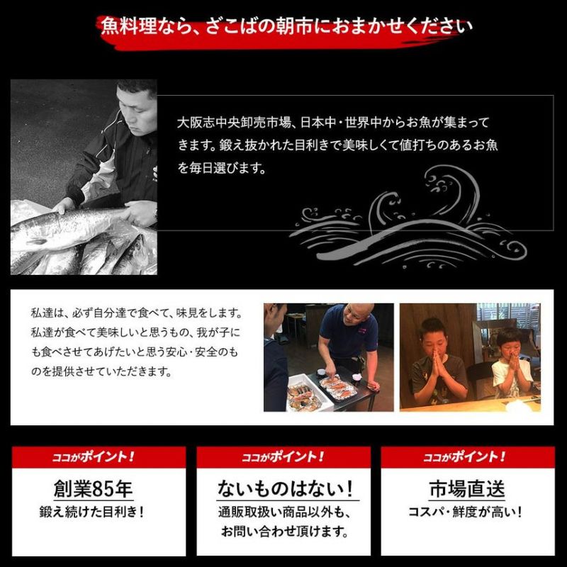 500g【訳あり】炭火焼 うなぎの蒲焼き〈切り落とし〉