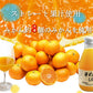 ※100％ピュアジュース180ml(みかんしぼり)×60本