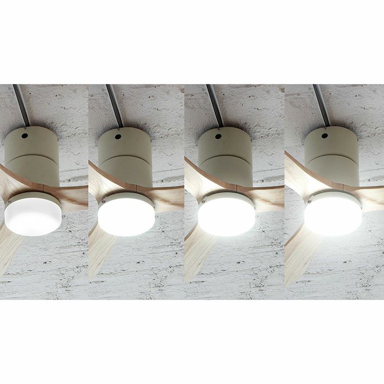 【限定クーポンで5%OFF！】Modern Collection LED シーリングファン REAL wood blades 昼白色 リモコン付き JE-CF004M  WH（ホワイト）