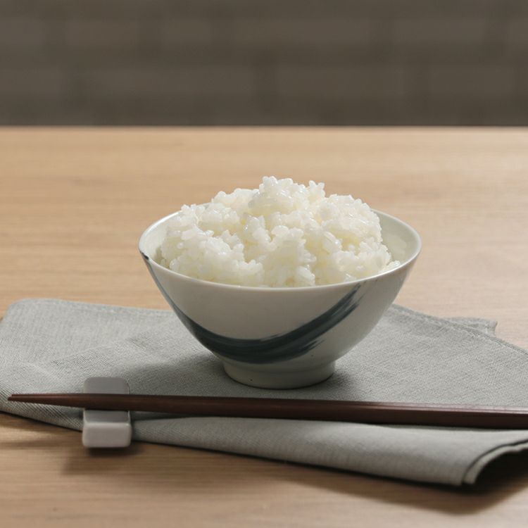 【限定クーポンで5%OFF！】mo-sk002 plus more プラスモア 公式店 サラダチキンがつくれる糖質カット炊飯器 レシピブック付 2.5合