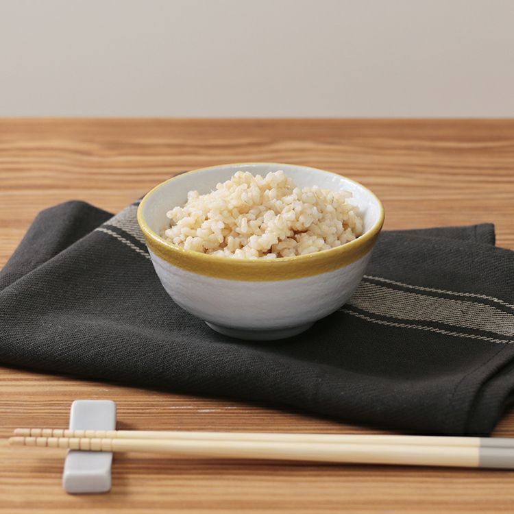 【限定クーポンで5%OFF！】mo-sk002 plus more プラスモア 公式店 サラダチキンがつくれる糖質カット炊飯器 レシピブック付 2.5合