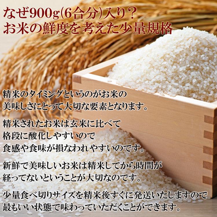 魚沼産こしひかり 魚沼産コシヒカリ９００g(六合分)精米後すぐ発送