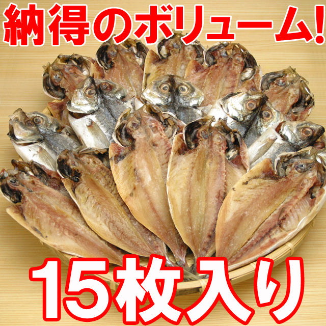 唐津産 真アジ干物 !!赤穂塩使用♪唐津産最大級の真アジ干物