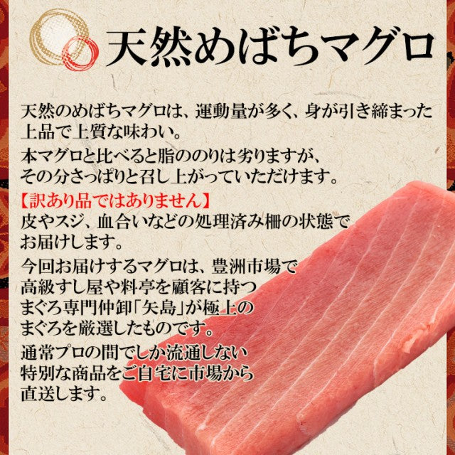 1kg 天然まぐろ 中トロ 柵
