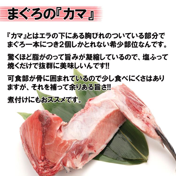 まぐろカマ１kg まぐろカマ １kg希少部位が超特価!! マグロ
