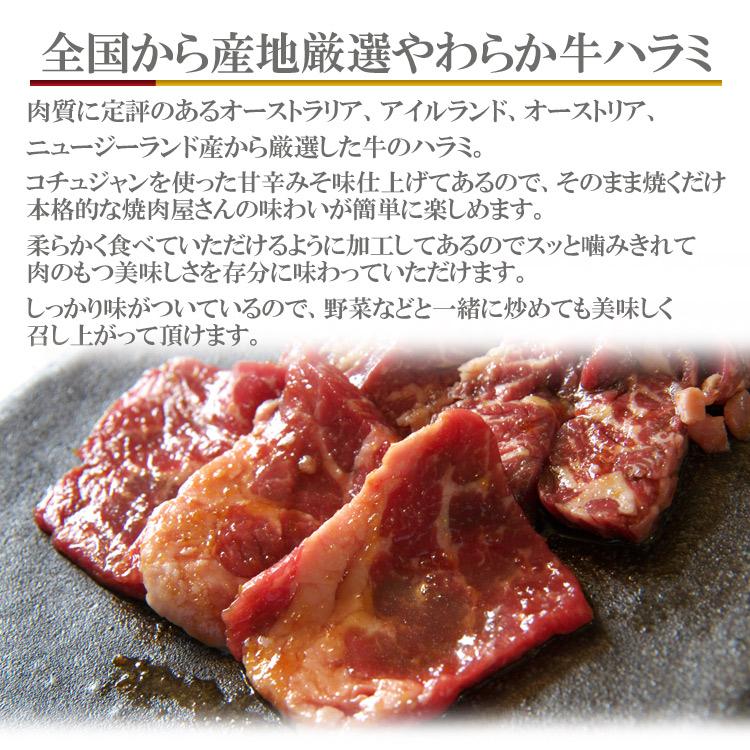 【先着10購入限定・16%OFF】やわらかタレ漬けハラミ500g 甘辛みそ