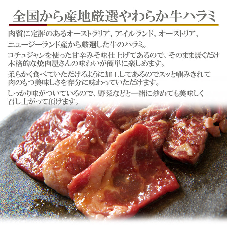 やわらかタレ漬けハラミ500g やわらか牛ハラミ 500g 甘辛みそ【タイムセール】