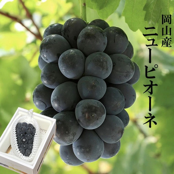送料無料 岡山産 ピオーネ 赤秀 2房入り 800-900g ぶどう