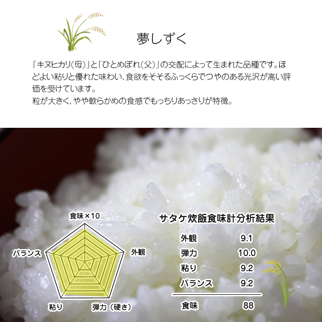 ギフト特Aランク米夢しずく特A令和2年産2kg佐賀県伊万里滝野産