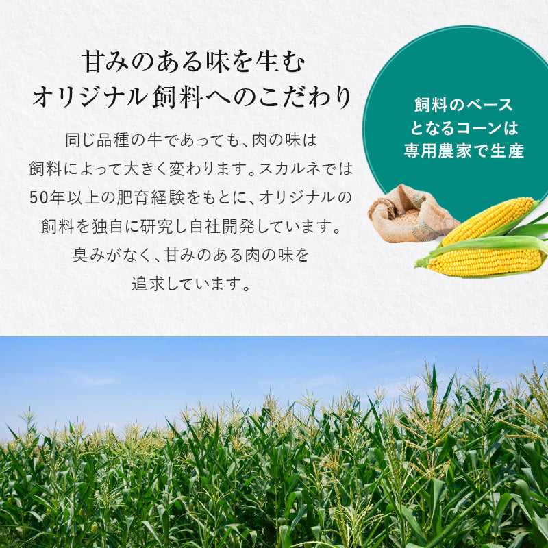 リブアイロール 約10kg（約5kg×2パック）【冷凍】