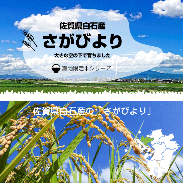 ギフト特Aランクさがびより佐賀米令和2年産さがびより2kg佐賀県白石産