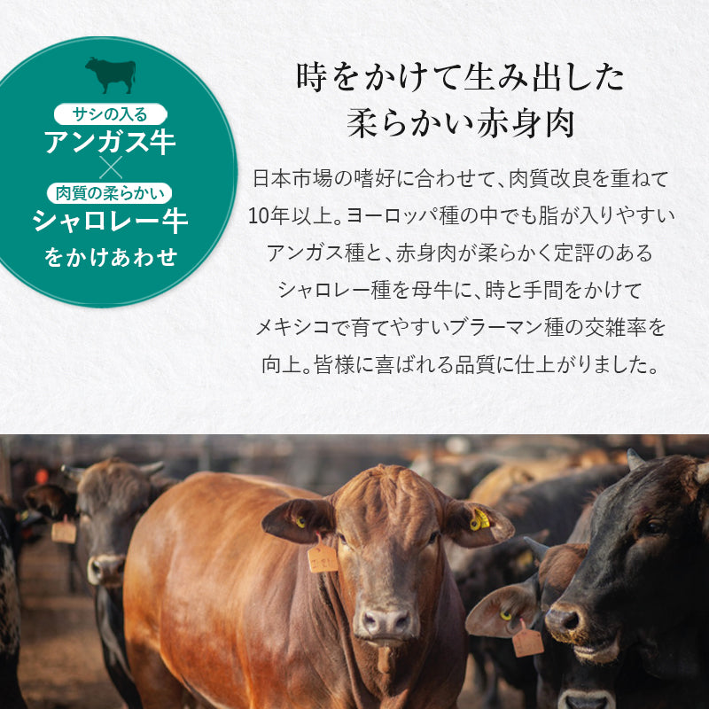 サーロイン 約11kg（約5kg×2〜3本）【冷凍】
