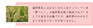 令和3年産出荷開始【福岡県民米人気ダントツNo.1】無洗米 10kg 送料無料 九州産 米 福岡県産「夢つくし」10kg(5kg×2) 送料無料　令和３年産